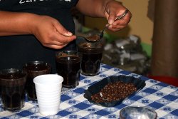 Regelmäßige Qualitätskontrolle schon bei den Produzenten sichert hohe Kaffeequalität