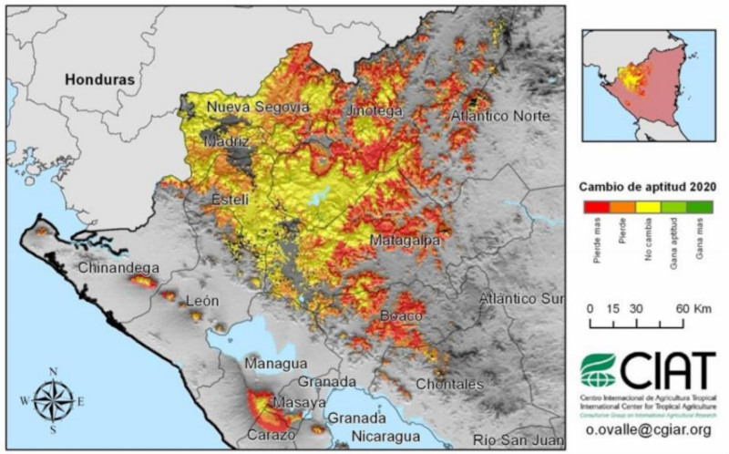 Gefährdete Kaffeeanbauflächen bis 2020