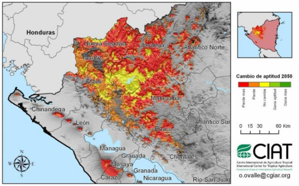 Gefährdete Kaffeeanbauflächen (rot markiert) bis 2050