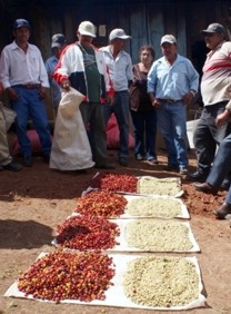 Vergleich von verschiedenen Arbeitsweisen bei der Nassverarbeitung